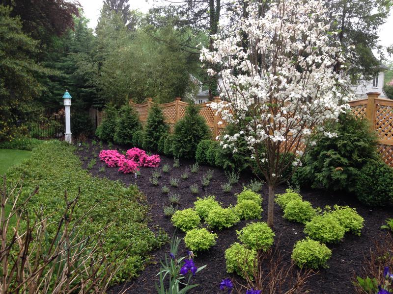 Landscape Construction 1
